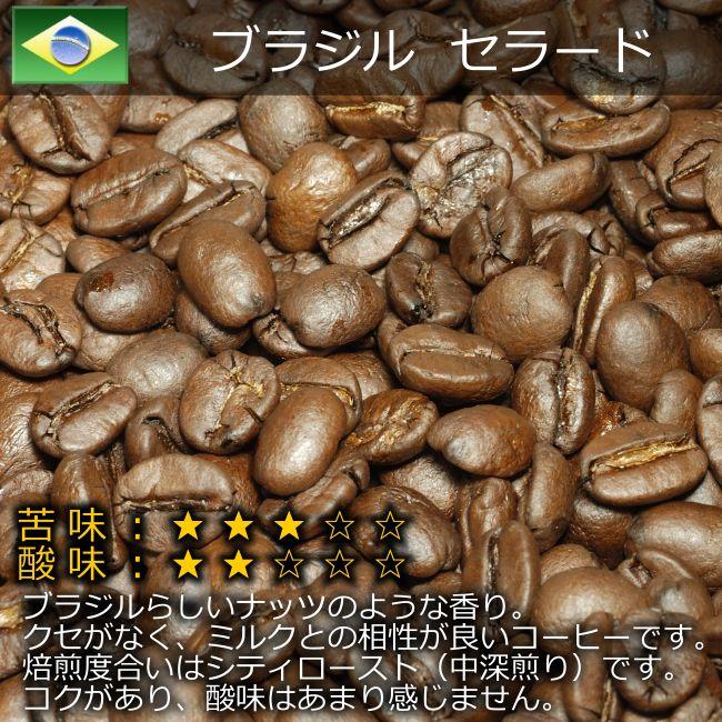 コーヒー豆 お試し セット 100g×2種 ブラジル グァテマラ : パロット