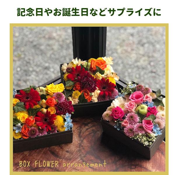 花 Boxフラワー プレゼント 季節の花 サプライズ 贈物 誕生日 九州 四国送料無料 おしゃれ 可愛い 人気 無料メッセージ 記念日 想い出 ペット Partnershop 0001 花屋パルテールの楽しいギフト案内 通販 Yahoo ショッピング