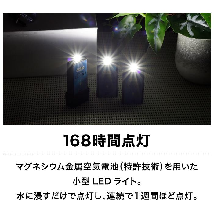 IPIC SONAE 水で光るLEDライト ミズアカリ プレミアム スイッチ ON/OFF