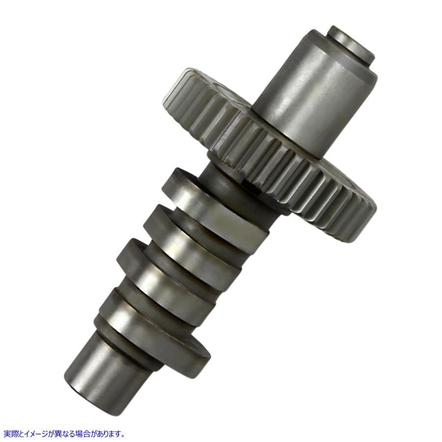 【並行輸入品】 アンドリュース EV5 グラインドカム - ビッグツイン 291150 DS199443 ANDREWS ANDREWS EV5 CAM 84-99 B-T #DRAG