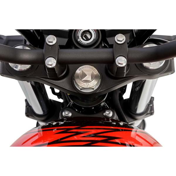モリワキ Z650RS ステムナットキャップ 05323-20258-00 : パーツ モリワキ Z650RS ステムナットキャップ 05323-20258-00 : パーツ