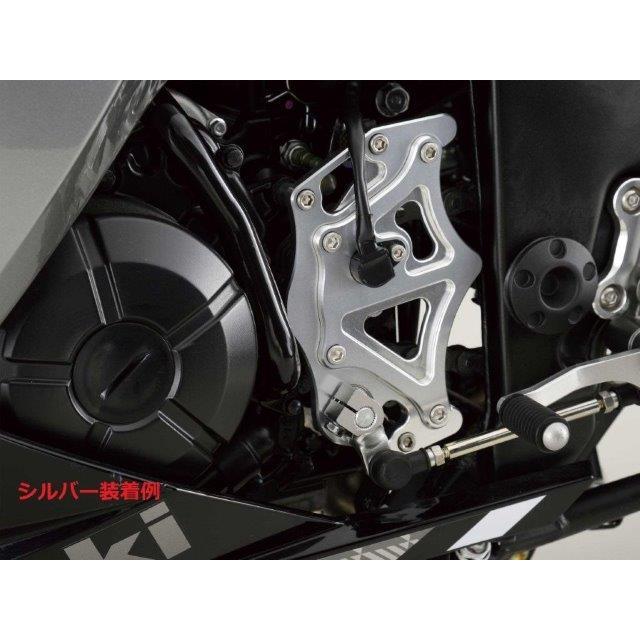 POSH Faith スプロケカバー BK/GD ニンジャ250 134201-46の画像