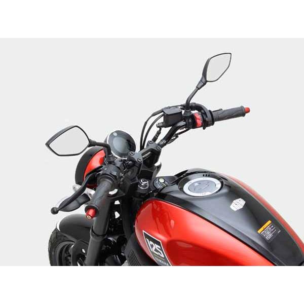 3月5日出荷】ハリケーン XSR125 ABS（24 8BJ-RE46J） BMコンチ3型 専用