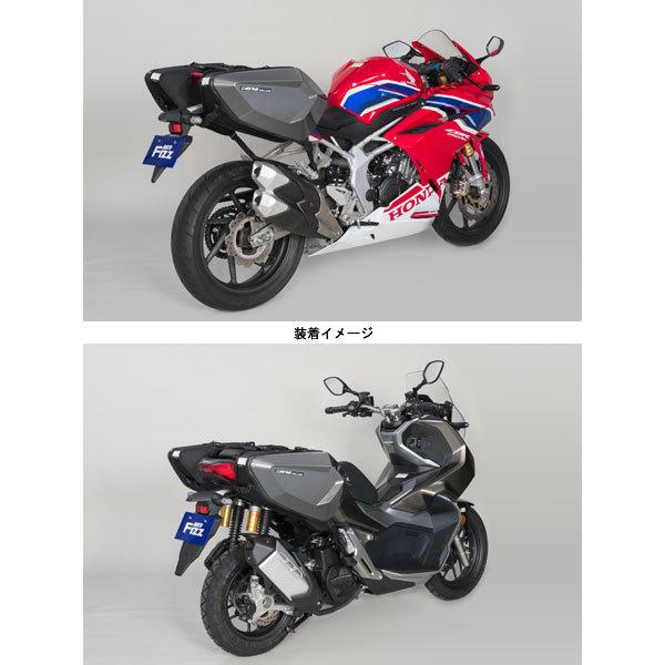 TANAX（タナックス） 【12月26日出荷】TANAX モトフィズ カービング