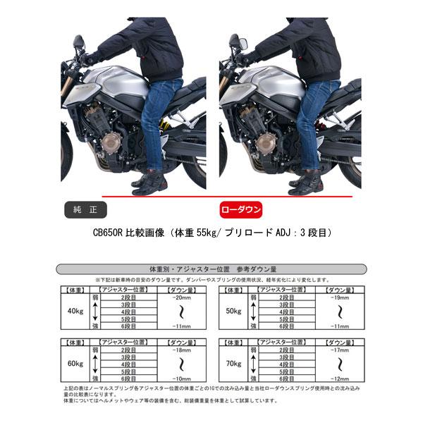 EFFEX (エフェックス) ローダウンキット 約15mmダウン CB650R/CBR650R