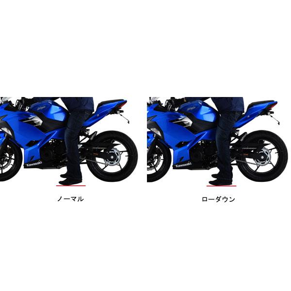 EFFEX (エフェックス) ローダウンキット 20mmダウン Ninja250