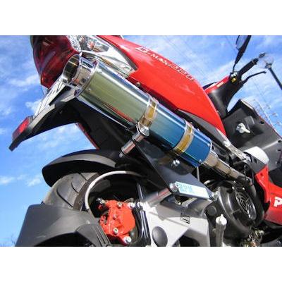 RMP RPM G-MAX マフラー 80D-RAPTOR チタン スリップオンマフラー G
