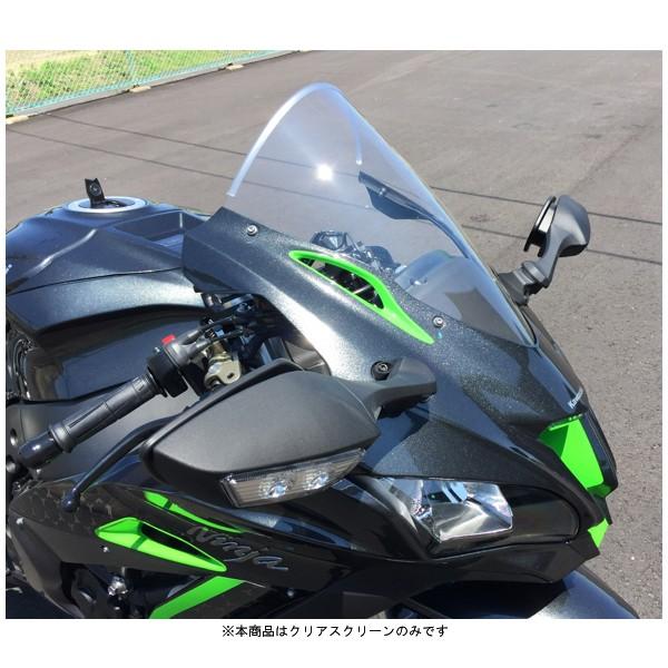 アクリポイント ACRY-Point スクリーン ストリート [クリア] ZX-10R