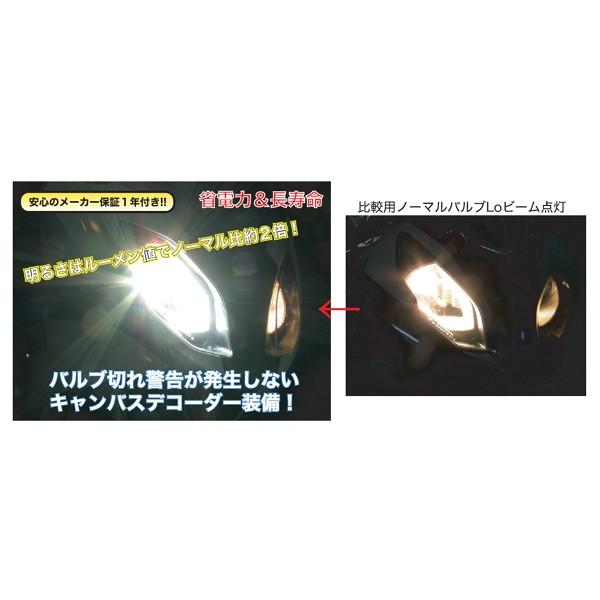 PROTEC（プロテック） LB7-BR LEDヘッドライトバルブキット H7 Lo側