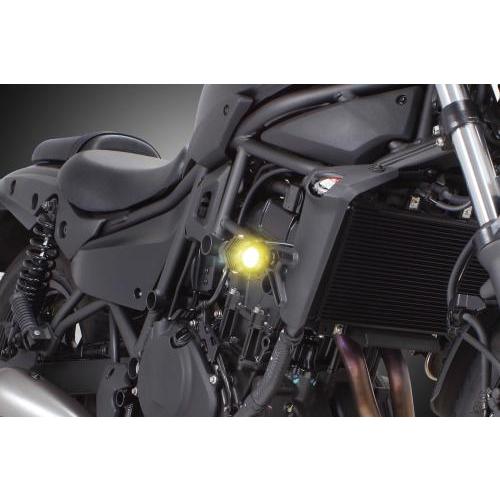 スペシャルパーツ武川 武川 エリミネーター LEDフォグランプキット3.0