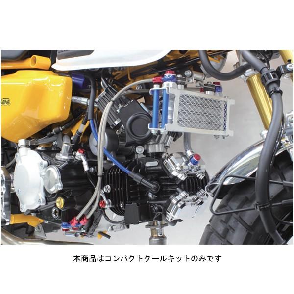 スペシャルパーツ武川 武川 コンパクトクールキット(スリムライン