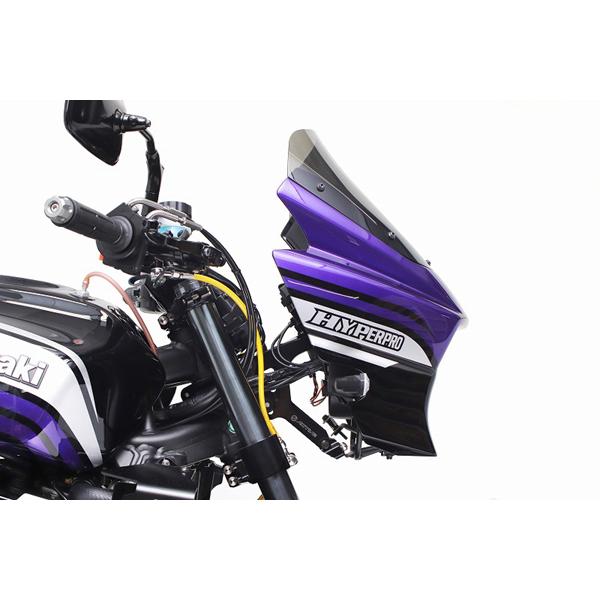ACTIVE(アクティブ) ZRX1200ダエグ KAWASAKI カワサキ カウルマウント