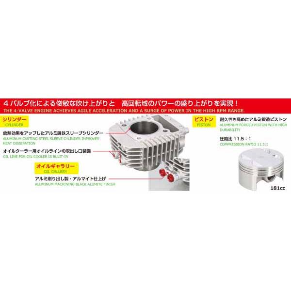 キタコ グロム(JC61/JC75)/モンキー125(JB02) 181cc DOHC ボアアップ
