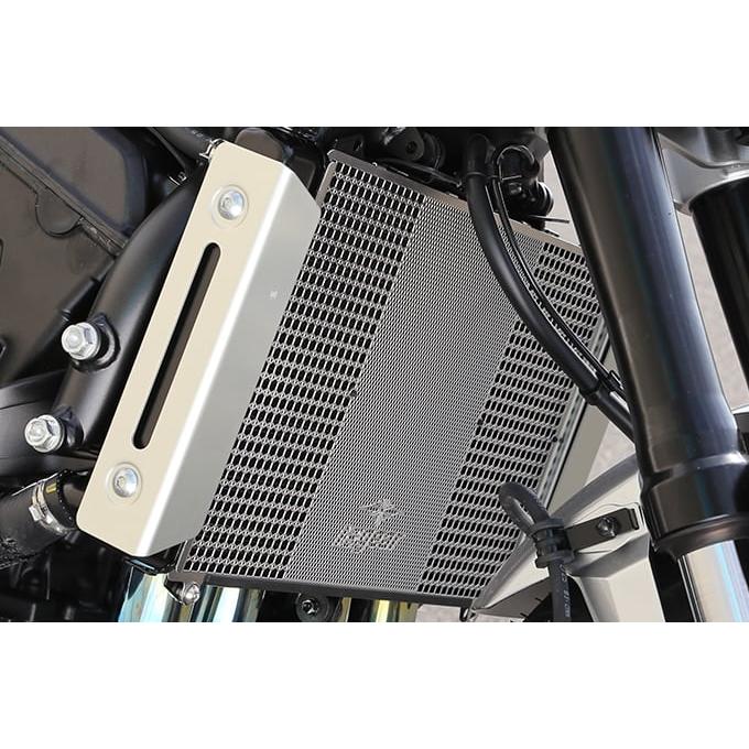 r's gear（アールズギア） 【8月18日出荷】アールズギア CB1000F