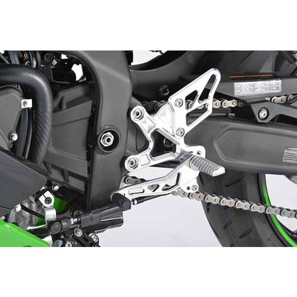 5月19日出荷】アールズギア ZX-25R・ZX-4R ライディングステップ