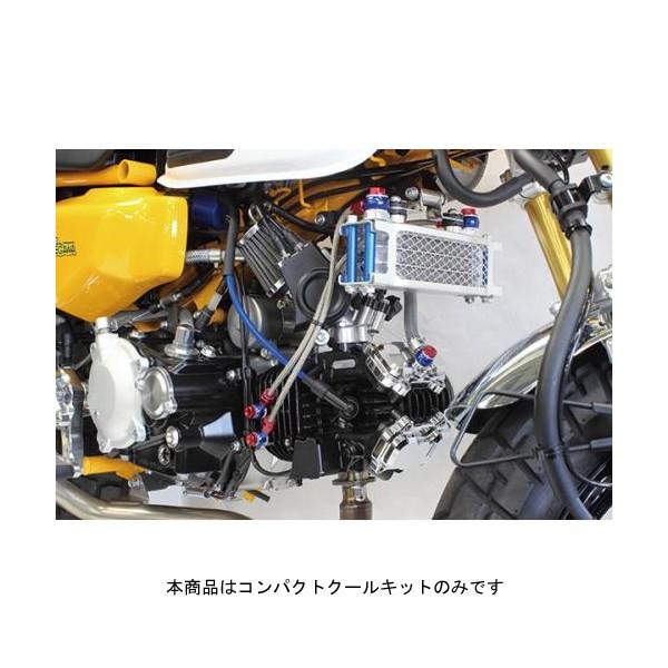 スペシャルパーツ武川 武川 コンパクトクールキット(スリムライン