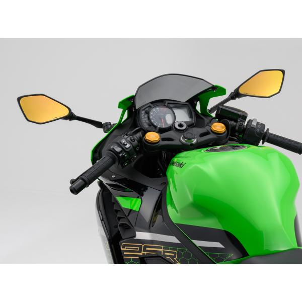 5月13日出荷】デイトナ ニンジャ1000SX/ニンジャ1000/Z900他 ハイビジ