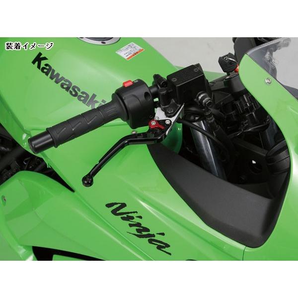 専用 DAYTONA（デイトナ） 【5月19日出荷】デイトナ ニンジャ250R(-'12)用