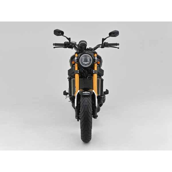 【4月28日出荷】デイトナ XSR900(16-22)/MT-09(21-22) エンジンプロテクター ストリームライン DAY16862_9