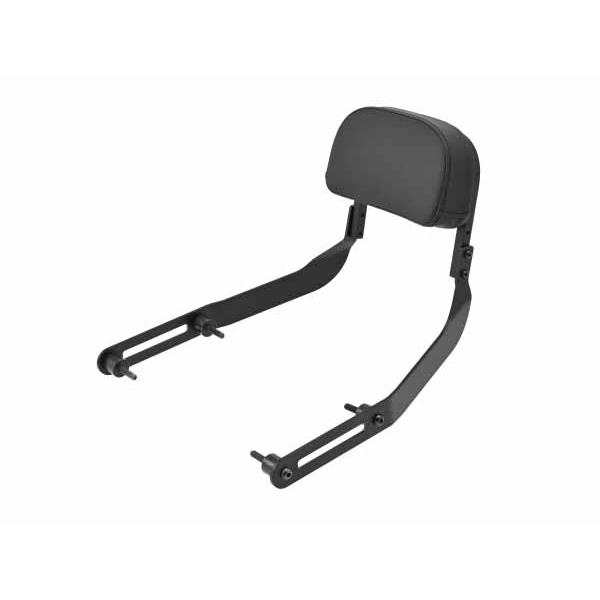 【4月25日出荷】デイトナ ELIMINATOR（24）/ELIMINATOR SE（24） デイトナ バックレストキット DAY38522_1