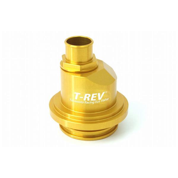 TERMOTO テラモト T-REV ドゥカティ専用 圧入タイプV φ18(ゴールド)  TE1645