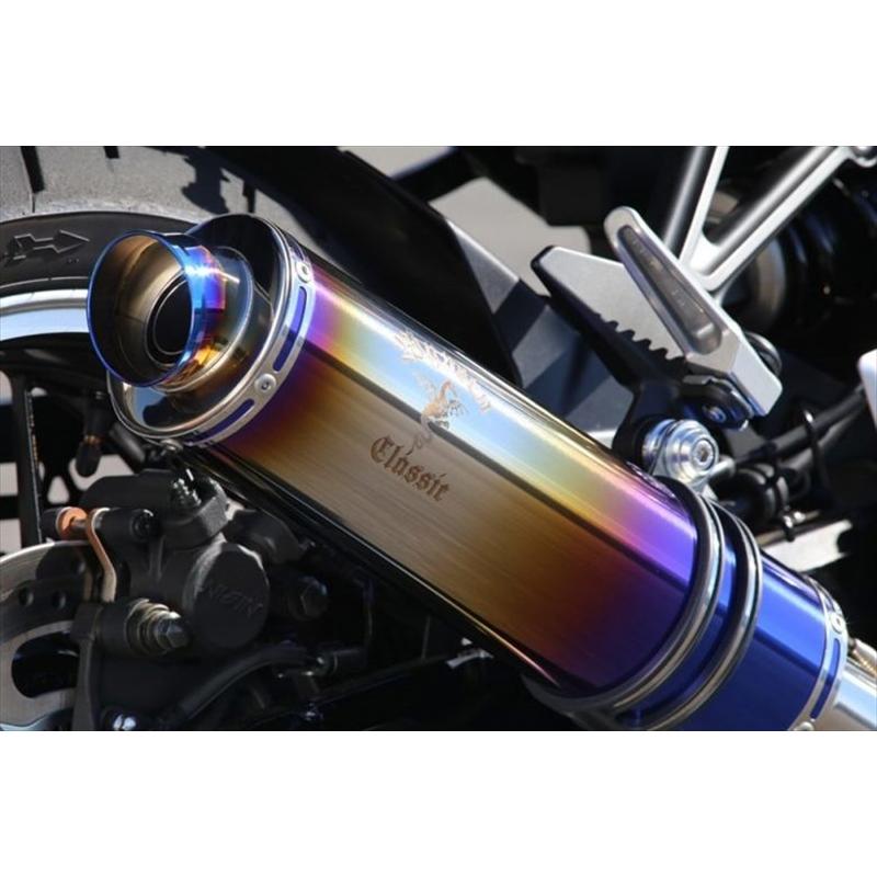 r's gear（アールズギア） 【6月11日出荷】アールズギア Z900 マフラー ワイバンクラシックR Single UP Typeフル ...