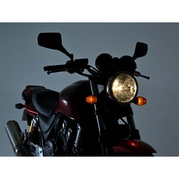 DAYTONA（デイトナ） LEDヘッドライトバルブ プレシャス・レイ ZX