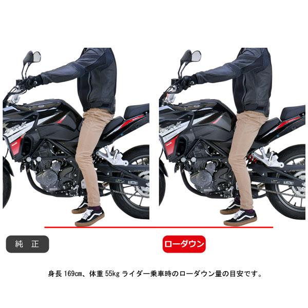 EFFEX (エフェックス) ローダウンキット 約17mmダウン BENELLI TRK251