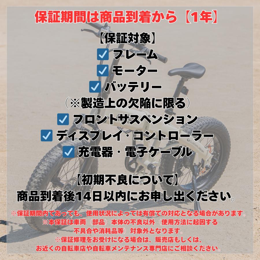 電動自転車 eXs Street エクスストリート マットブラック 型式認定車両