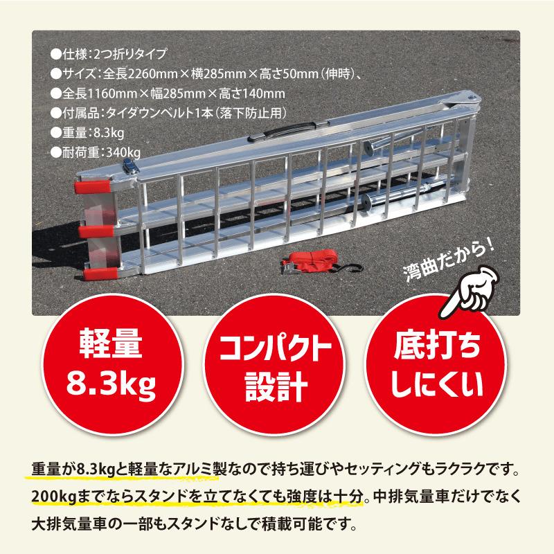 ProTOOLs スタンド付アメリカン湾曲アルミラダー 耐荷重 340kg