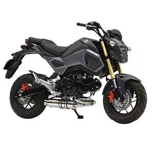 Realize Racing(リアライズ) ラグナ ステンレスマフラー GROM 16- 407