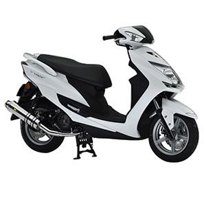 Realize Racing(リアライズ) 22Racing ステンレスマフラー シグナスX