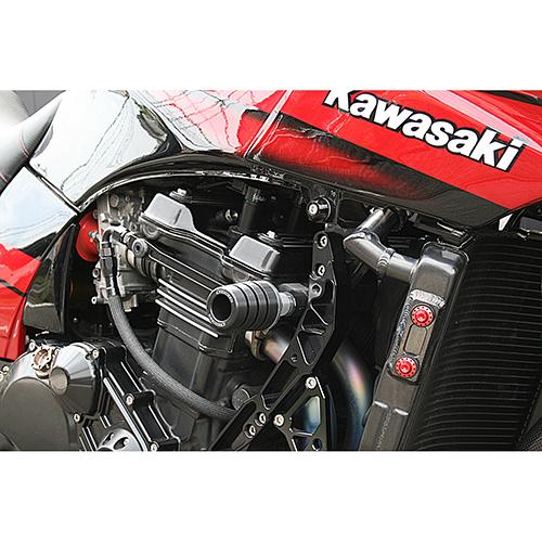 STRIKER(ストライカー) バイク 外装 フェンダーレスキット・ナンバー ガードスライダー CA GPZ900R SS-GS04C-F1