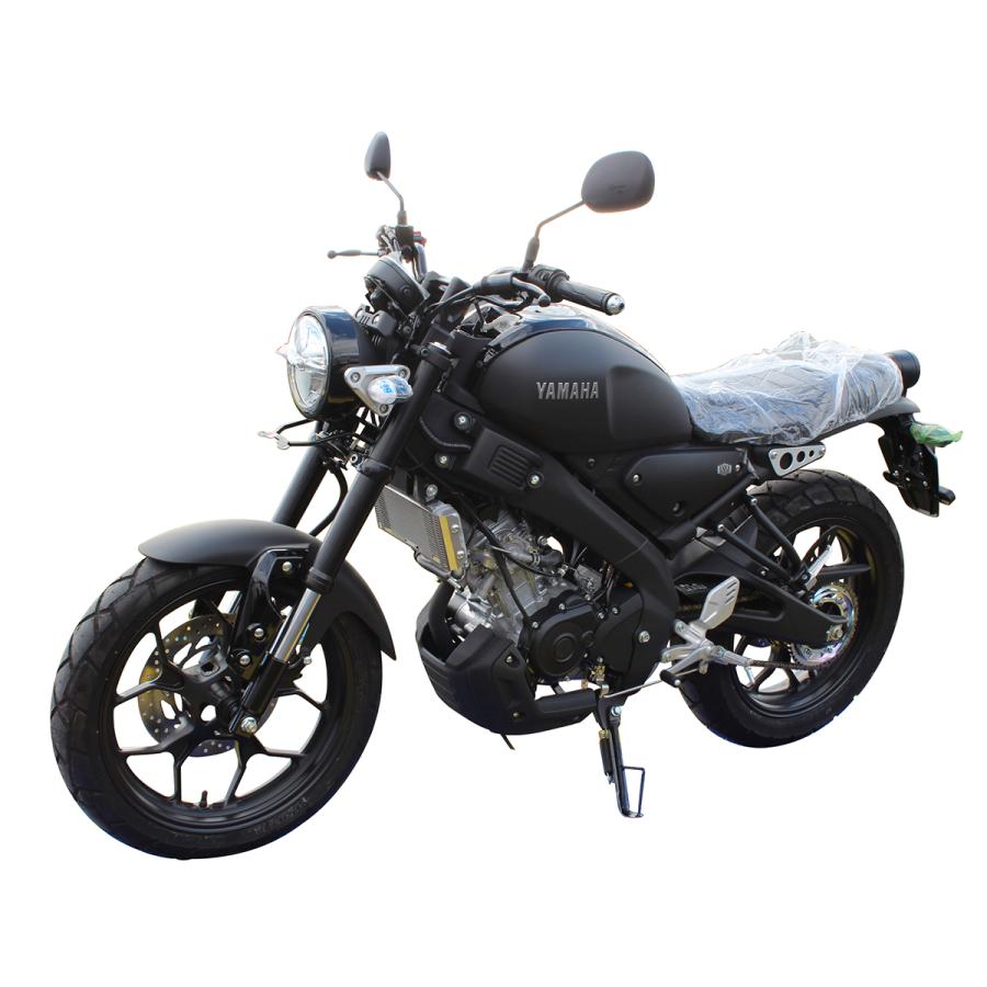 エッチングファクトリー ラジエーターガード　ブラック エッチングファクトリー XSR125/XSR155用 ラジエターガード エンブレム