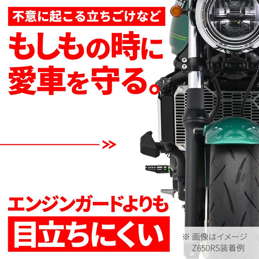 DAYTONA エンジンプロテクター ストリームライン エリミネーター/SE