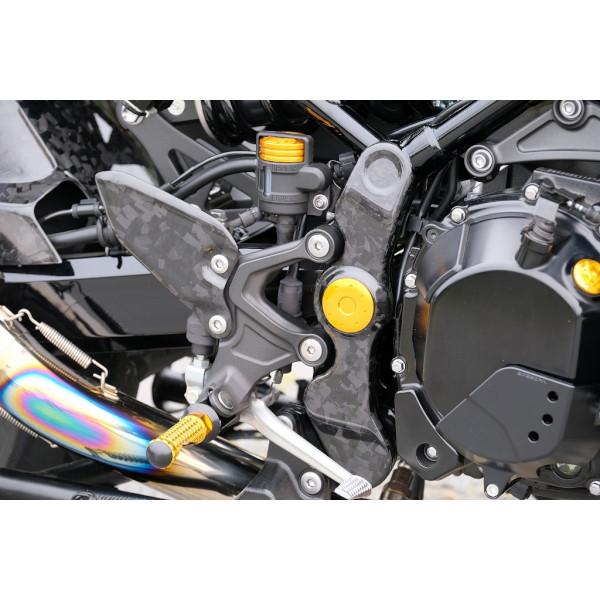SPEEDRA フレームカバー 左右セット ドライカーボン CKA1110FM バイク 外装パーツの画像