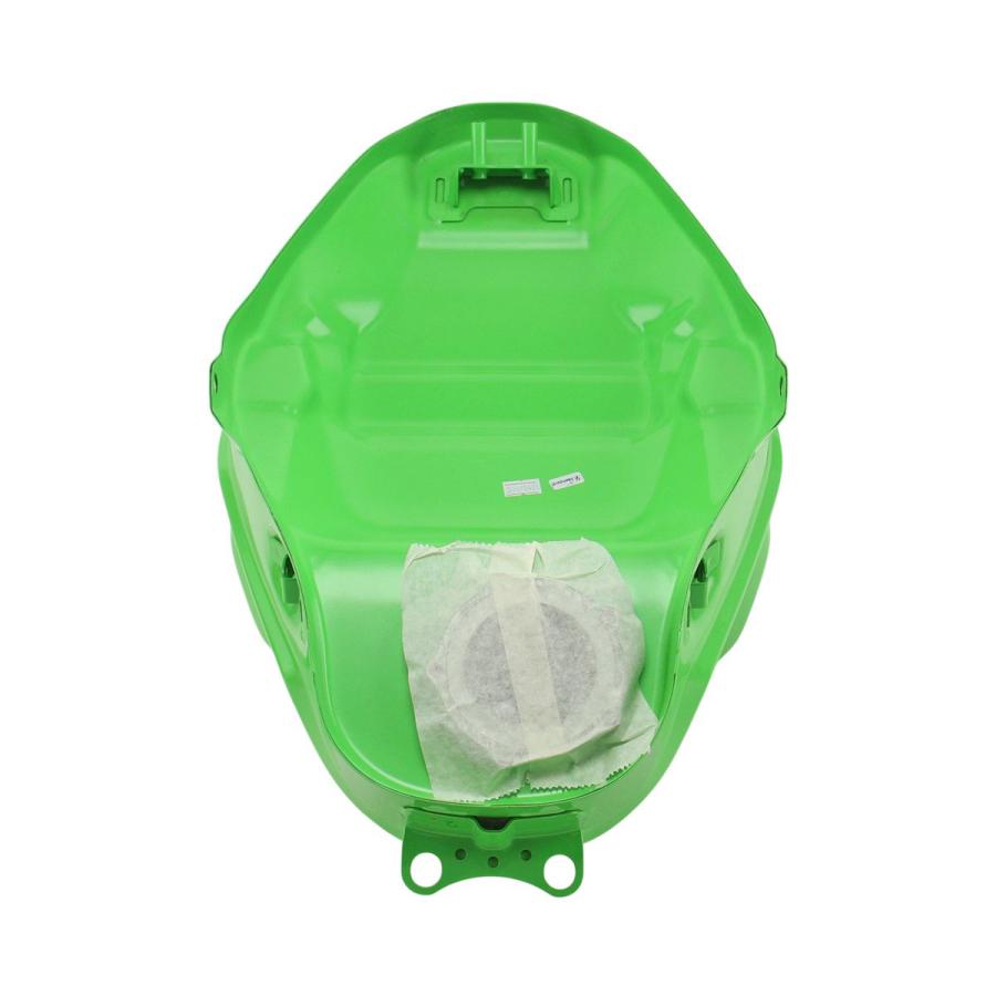 Kawasaki ガソリンタンク グリーン タイカワサキ(海外純正) バイク 【純正部品】燃料タンクコンプ