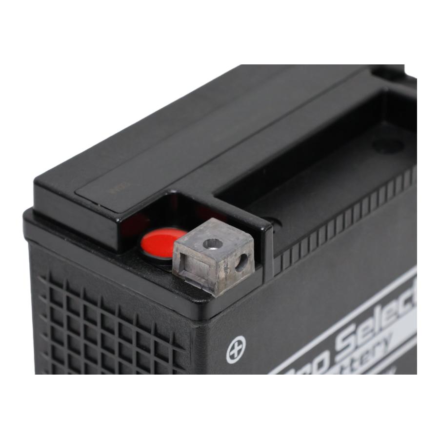 ハーレー用バイクバッテリーPTX20H-BS未使用品 ProSelect バイク バッテリー PTX20H-BS ハーレー専用AGMバッテリー