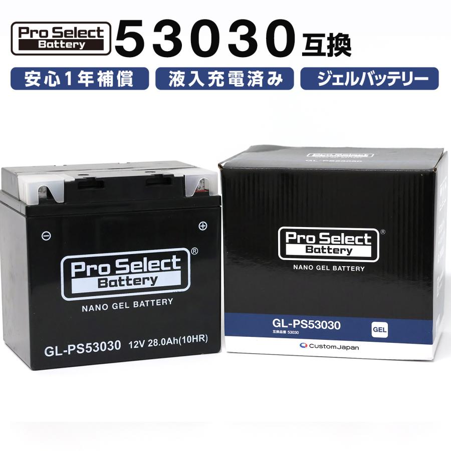 ProSelect バイク バッテリー GL-PS53030 BMW専用ジェルバッテリー