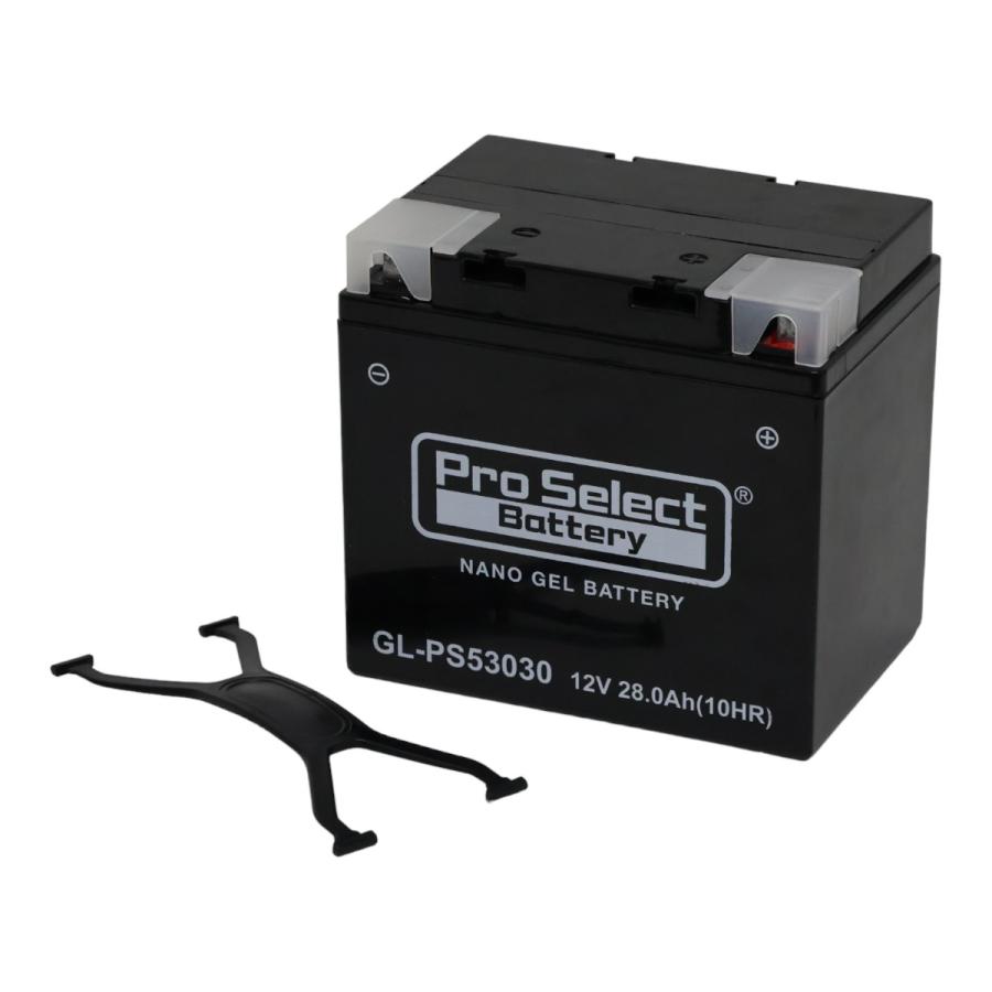 ProSelect バイク バッテリー GL-PS53030 BMW専用ジェルバッテリー