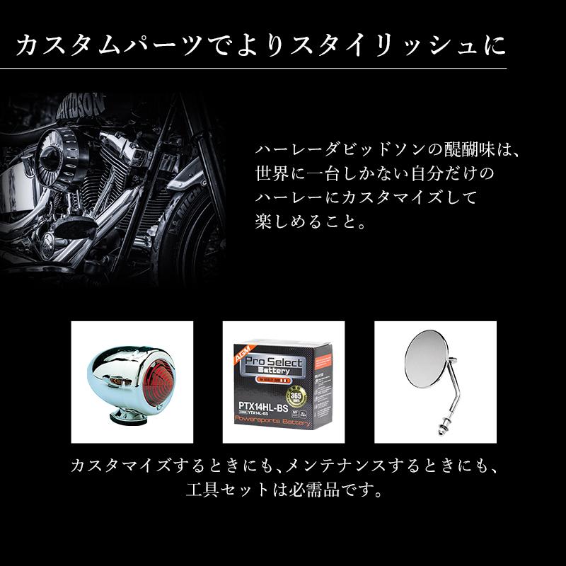 ProTOOLs ハーレーダビッドソン用 インチ工具セット 44点組 インチ