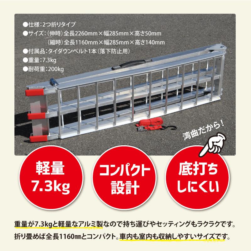 ProTOOLs アメリカン湾曲アルミラダー 耐荷重 200kg 積み下ろし