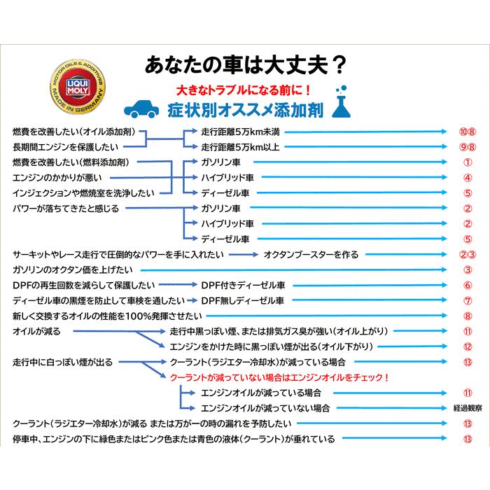 LIQUI MOLY（リキモリ） 大型車向 黒煙防止 ディーゼル燃料 添加剤