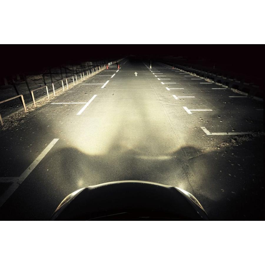 カーメイト（CARMATE） D4S LEDヘッドバルブ 純正HIDをLEDへ 4500K