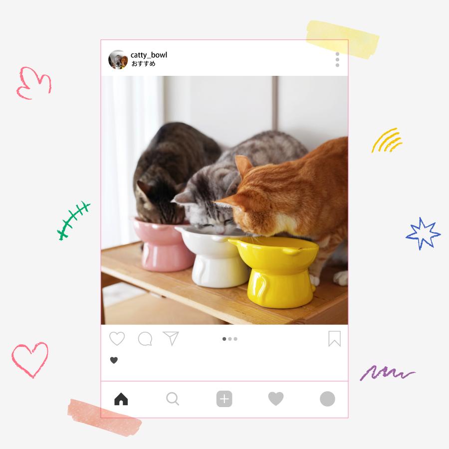 Catty Bowl フードボウル 食べやすい 傾斜 高さがある おしゃれ 陶器