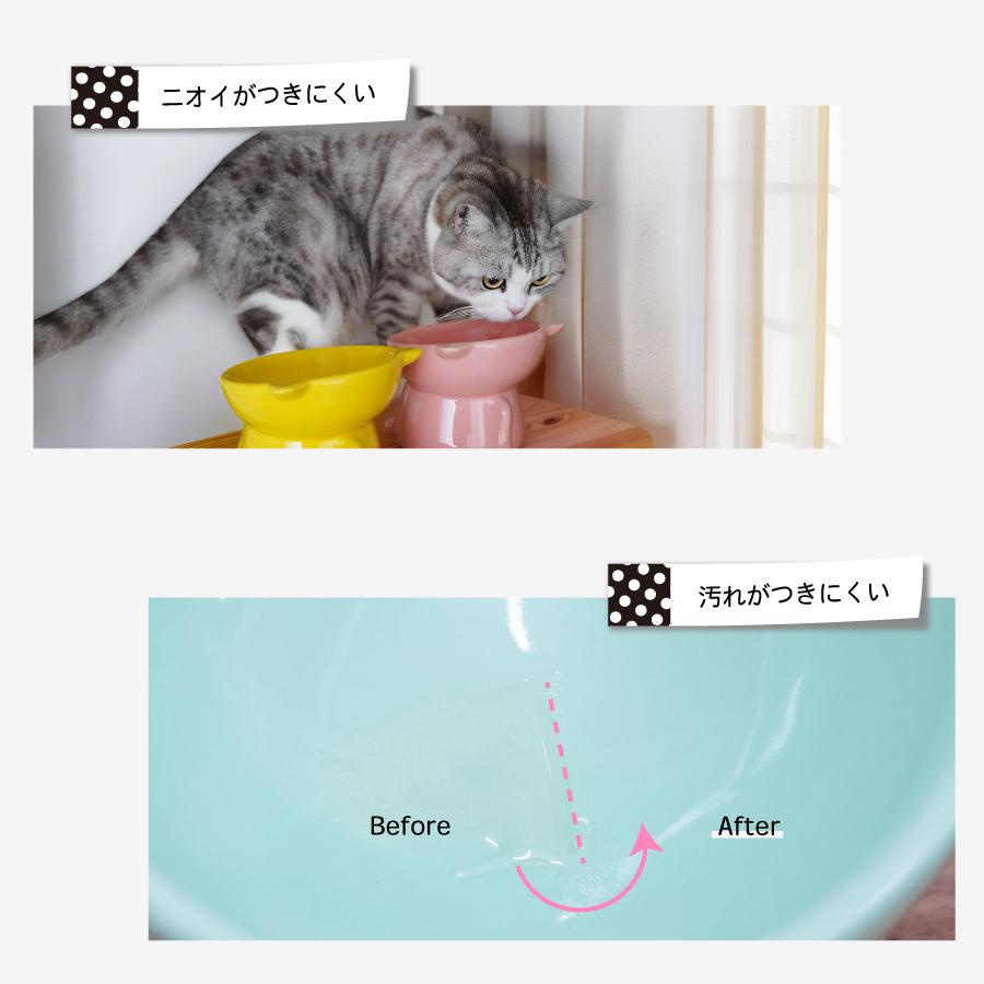 Catty Bowl フードボウル 食べやすい 傾斜 高さがある おしゃれ 陶器