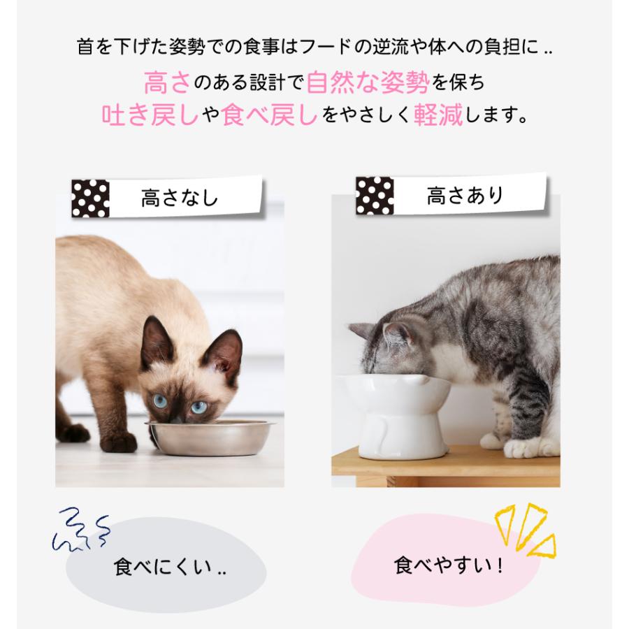 Catty Bowl フードボウル 食べやすい 傾斜 高さがある おしゃれ 陶器