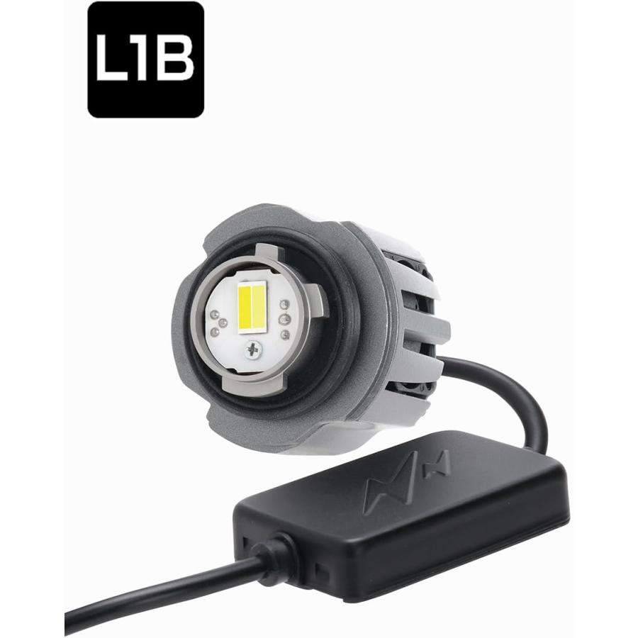 PIAA フォグ用 純正LEDフォグライト用バルブ LEF500 L1B 12V 25W