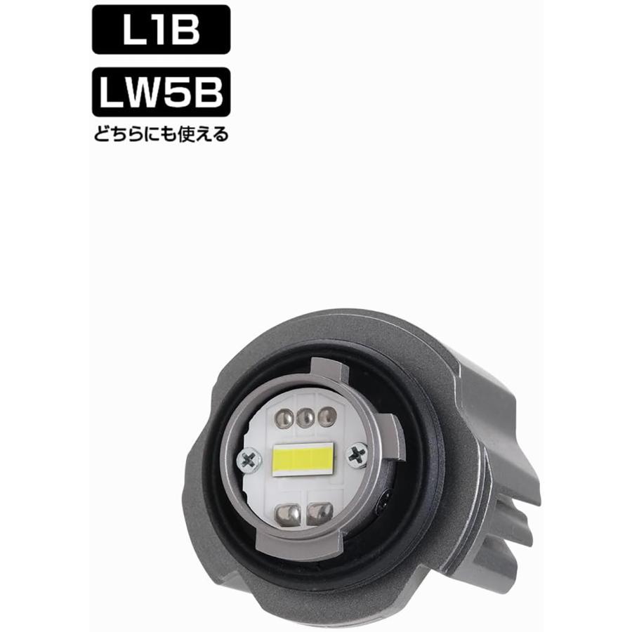 PIAA フォグ用 純正LEDフォグライト用バルブ LEF501 L1B LW5B 12V 20W