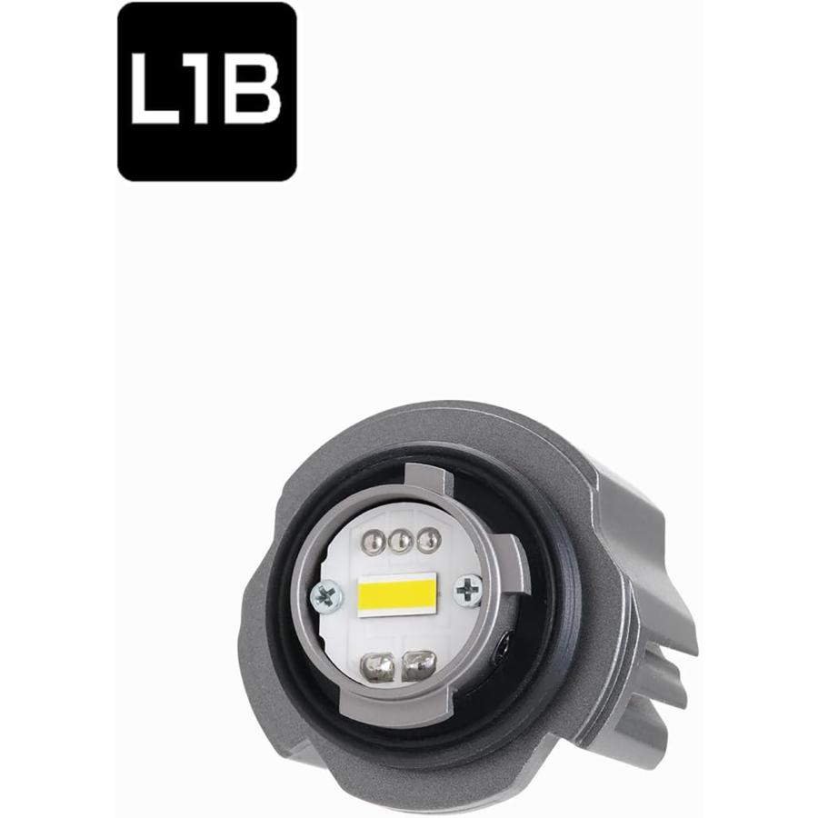 PIAA フォグ用 純正LEDフォグライト用バルブ LEF502 L1B 12V 20W
